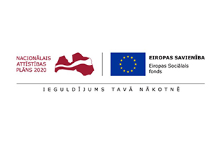 NAP2020 ES logo