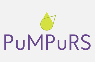 pumpurs kegumaskola